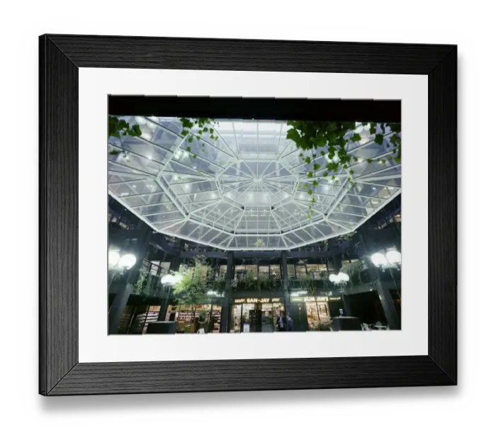 Framed Print : Glazed canopy JLP01_10_51502