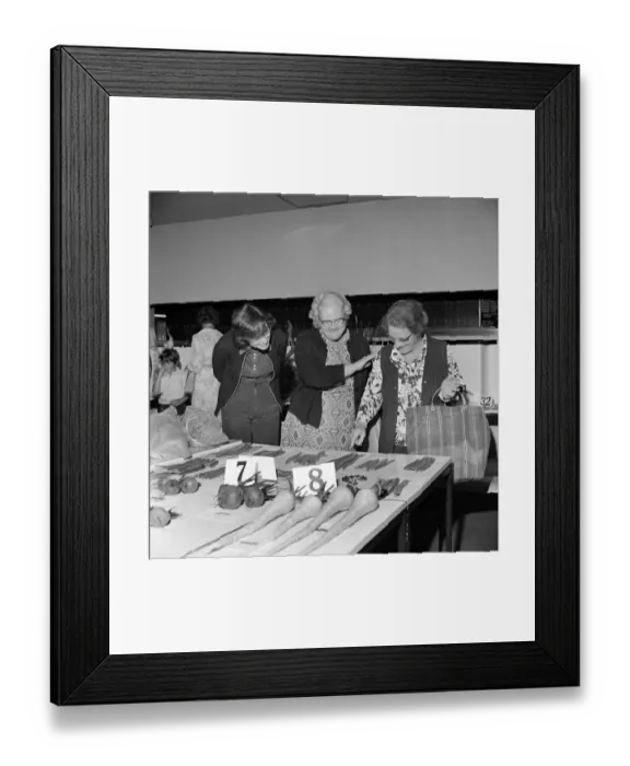Framed Print : Vegetables JLP01_09_740159a