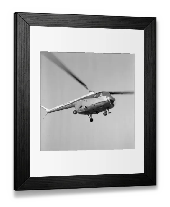 Framed Print : Bristol Sycamore JLP01_08_051521a