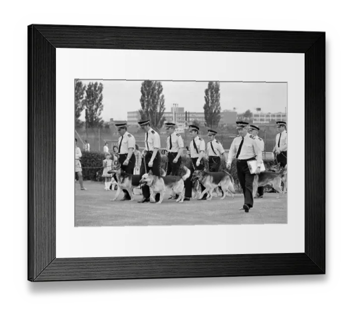 Framed Print : Police dog parade JLP01_08_095438 Framed Print : Police dog parade JLP01_08_095438