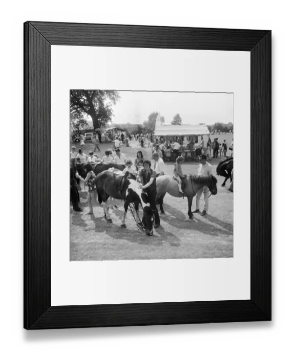 Framed Print : Donkey rides JLP01_08_081371
