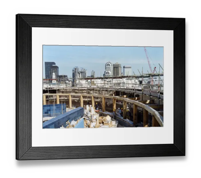 Framed Print : Poultry JLP01_11_62368_32 Framed Print : Poultry JLP01_11_62368_32