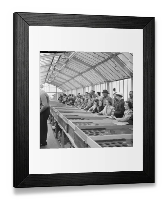 Framed Print : Arcade games JLP01_08_021570