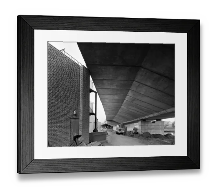 Framed Print : Almost touching JLP01_08_084884