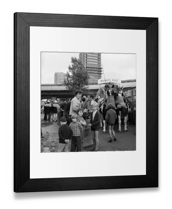 Framed Print : Dray horses JLP01_08_086067g