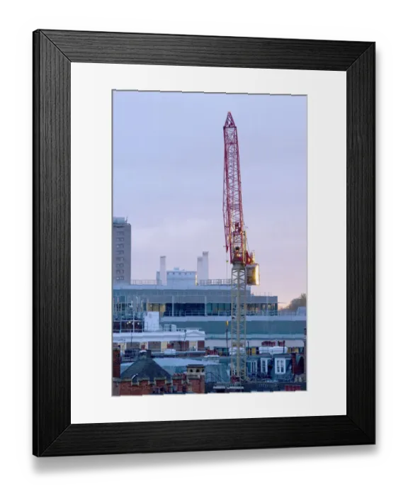 Framed Print : Crane DP092097 Framed Print : Crane DP092097