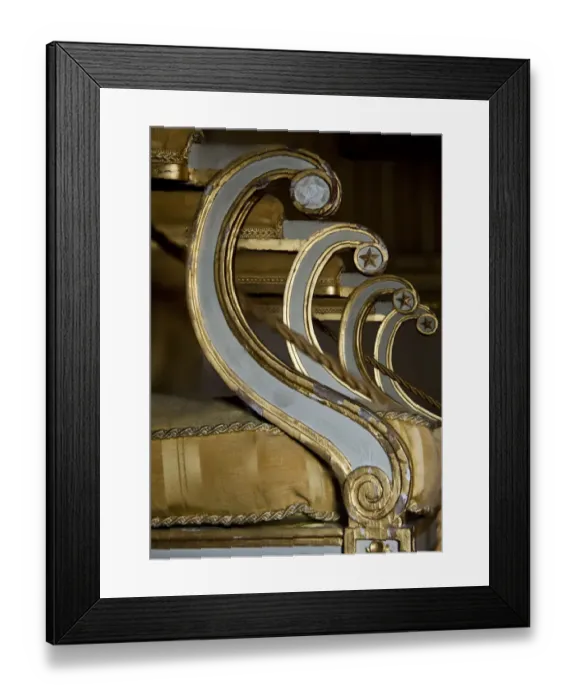 Framed Print : Conservation cases DP094852