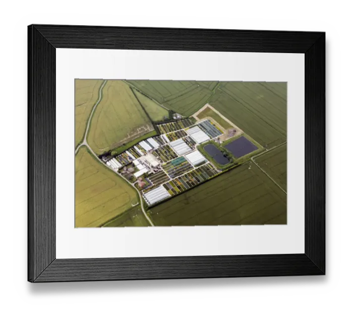 Framed Print : Golden Grove Nursery 34108_008