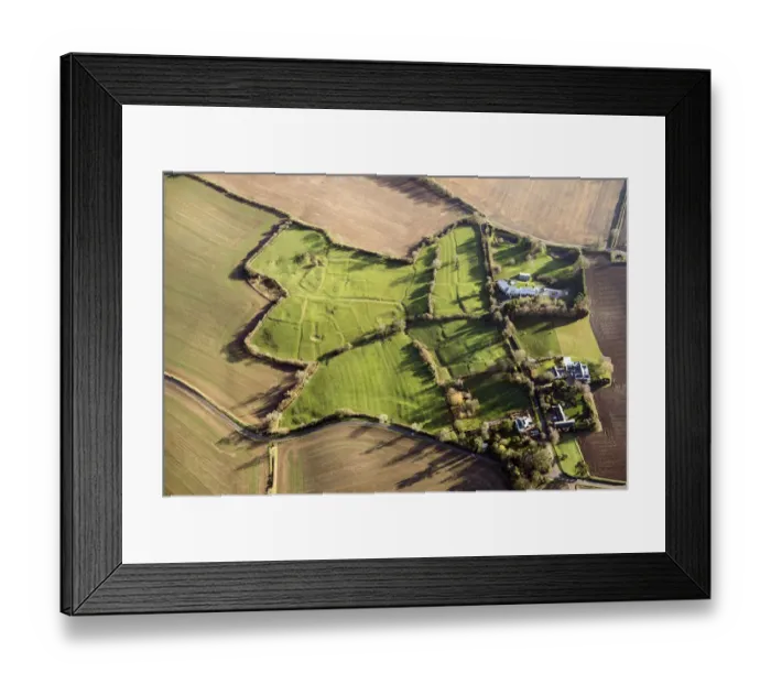 Framed Print : Frisby DMV 33994_001
