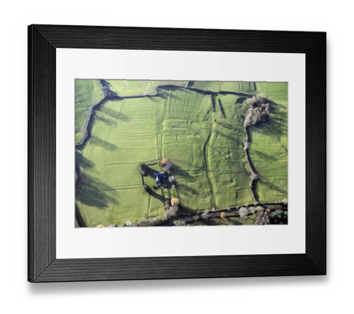 Framed Print : Carlton Curlieu DMV 33994_014 Framed Print : Carlton Curlieu DMV 33994_014