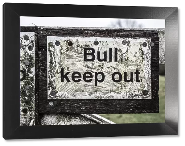 Bull warning DP234597