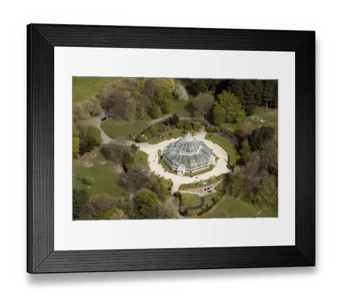 Framed Print : Palm House 35023_016 Framed Print : Palm House 35023_016