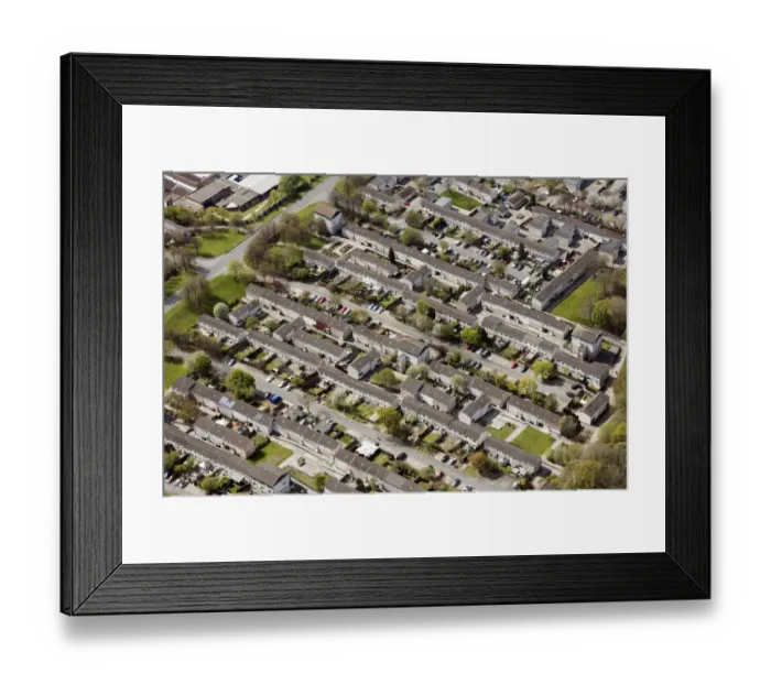 Framed Print : Birch Green 35030_037