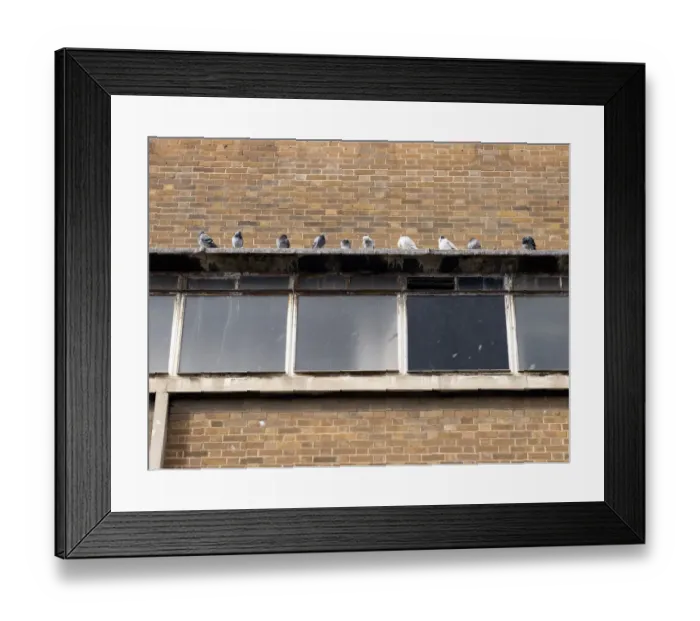 Framed Print : Vantage point DP262283