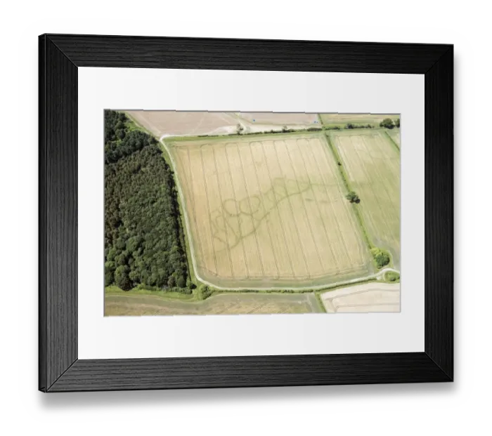 Framed Print : Settlement cropmarks 33378_028