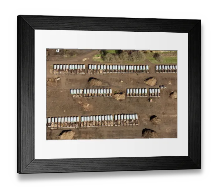 Framed Print : Piggery 33444_049 Framed Print : Piggery 33444_049