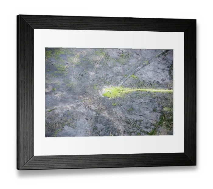 Framed Print : Green and burnt 34069_034 Framed Print : Green and burnt 34069_034