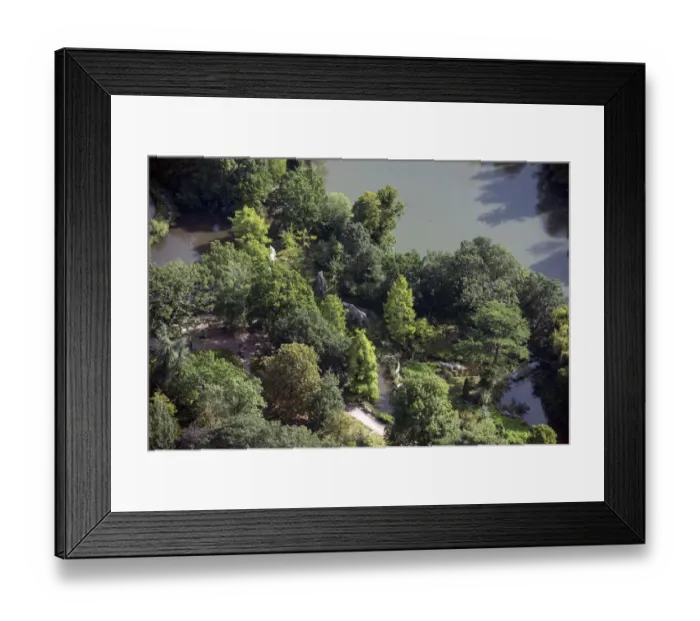 Framed Print : Dinosaurs in the park 35099_041 Framed Print : Dinosaurs in the park 35099_041