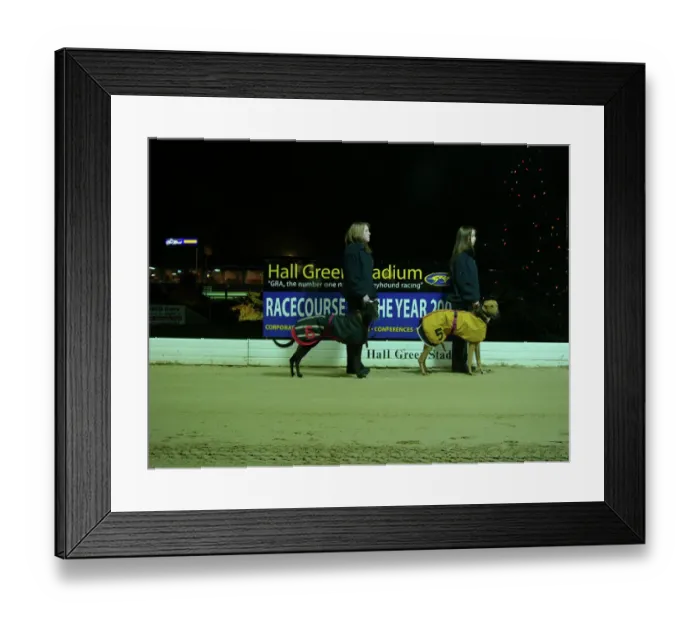 Framed Print : Greyhound racing PLA01_01_042