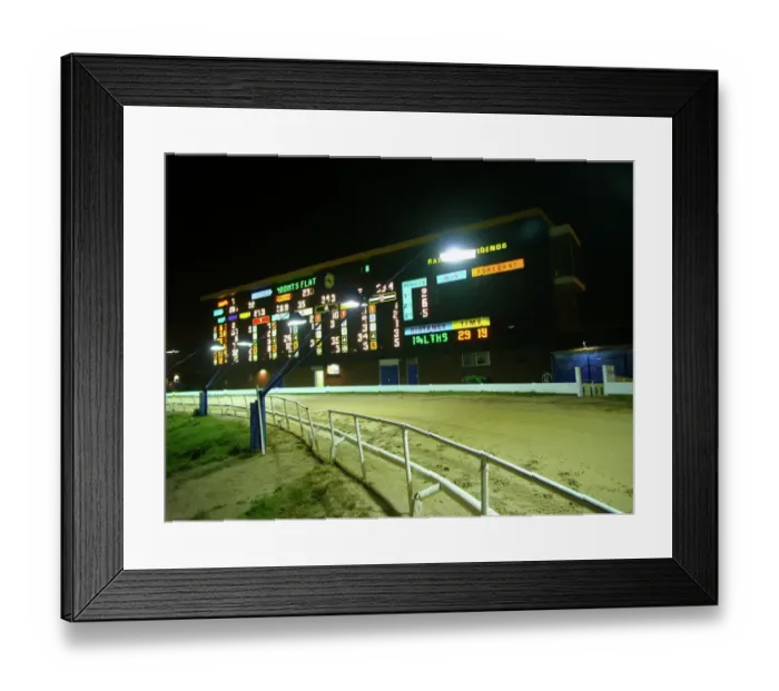 Framed Print : Greyhound racing PLA01_01_043