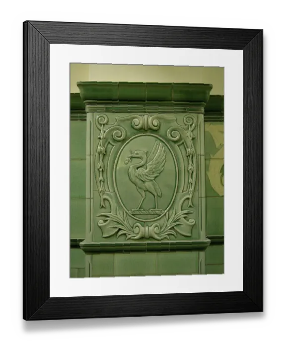Framed Print : Liver Bird PLA01_02_121