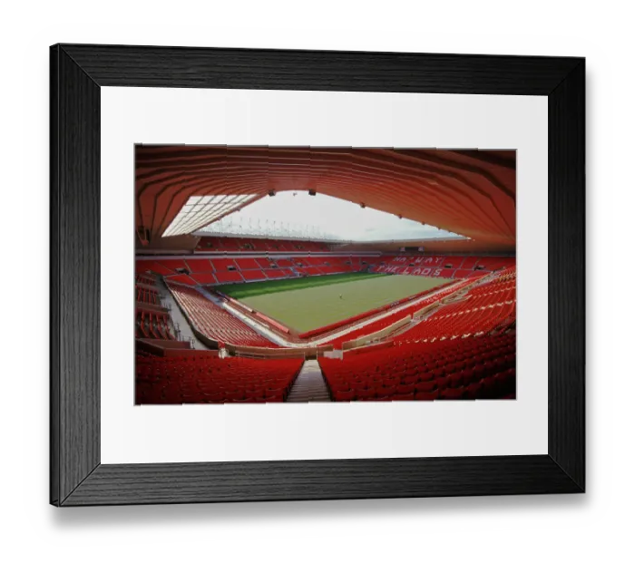 Framed Print : Stadium of Light PLA01_05_048
