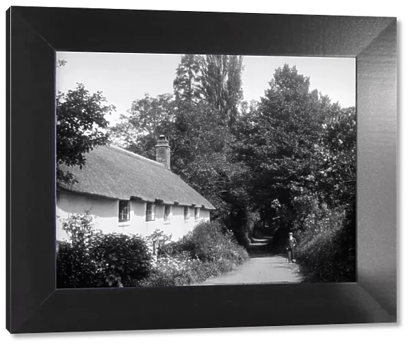 Dunster cottages BB53_00627
