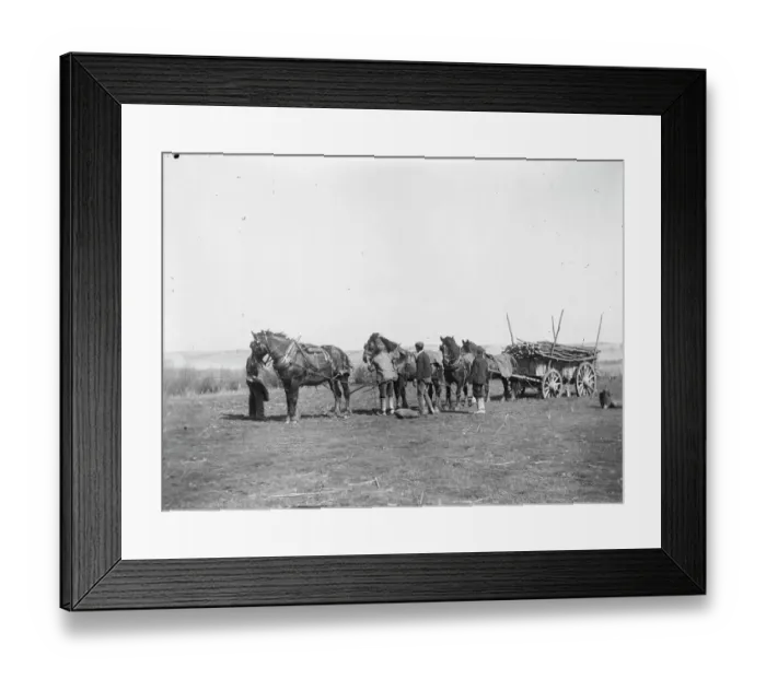 Framed Print : Horse power MCF01_02_0014 Framed Print : Horse power MCF01_02_0014