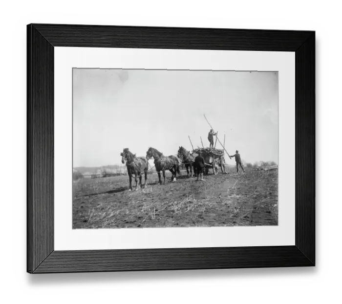 Framed Print : Horse power MCF01_02_0015