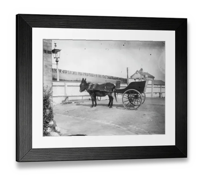 Framed Print : Donkey cart MCF01_02_0083