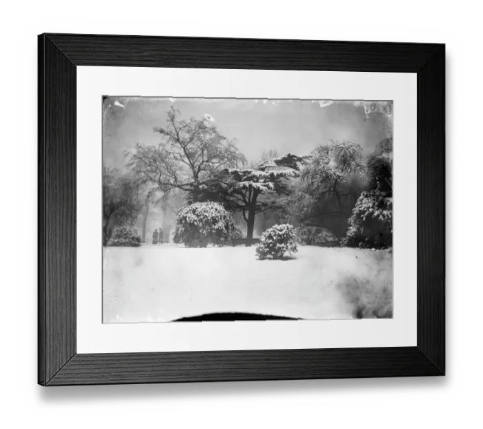 Framed Print : Kensington Gardens MCF01_02_0090