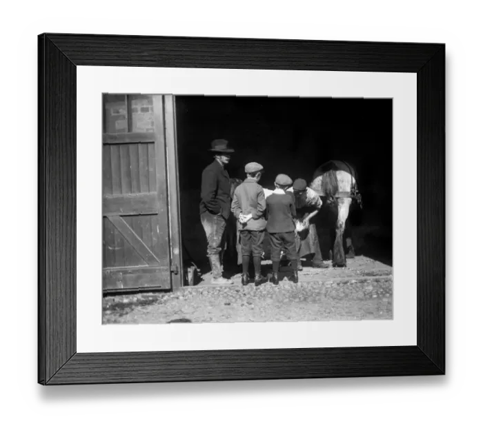 Framed Print : Farrier MCF01_02_0117 Framed Print : Farrier MCF01_02_0117