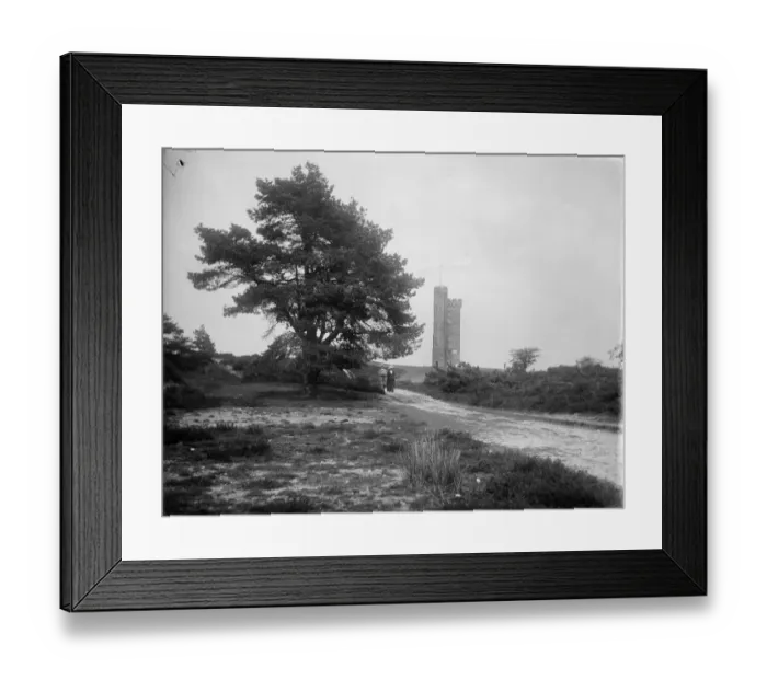 Framed Print : Leith Hill Tower MCF01_02_0267