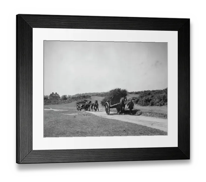 Framed Print : Wood wagons MCF01_02_0391
