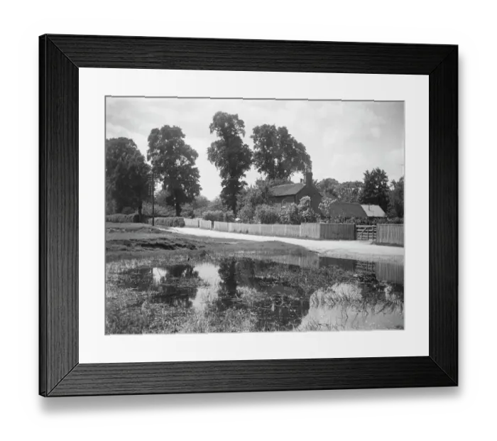 Framed Print : Pond MCF01_02_0405