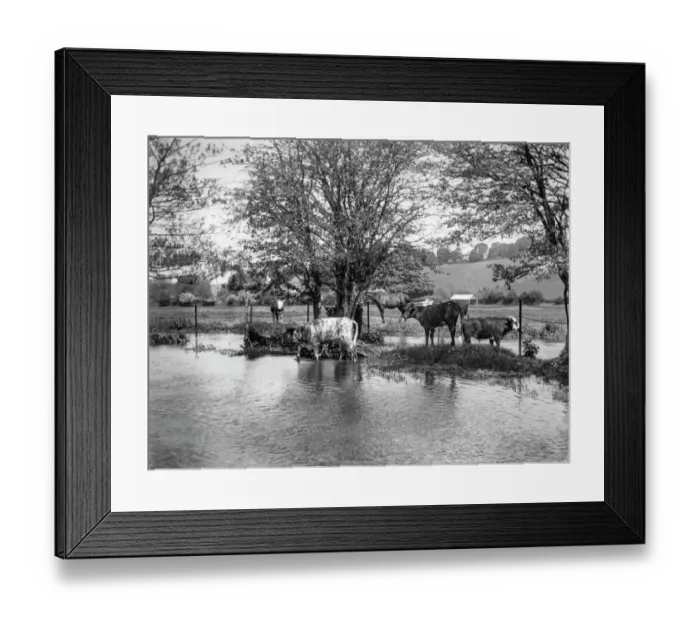 Framed Print : Rivers edge MCF01_02_0414