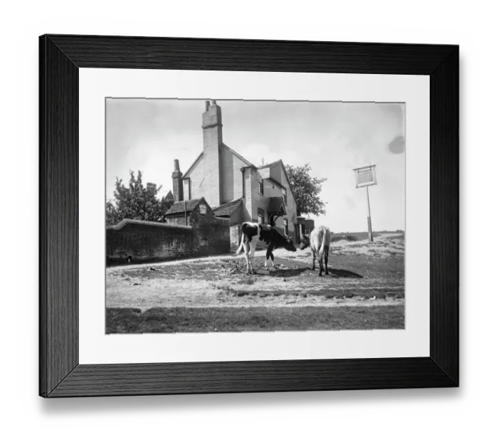 Framed Print : The Black Horse MCF01_02_0419 Framed Print : The Black Horse MCF01_02_0419