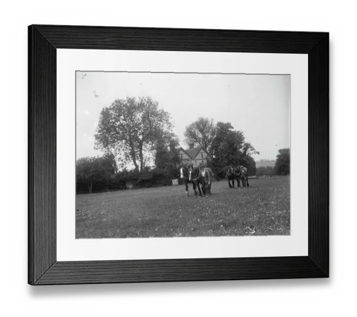 Framed Print : Green End Farm MCF01_02_0553