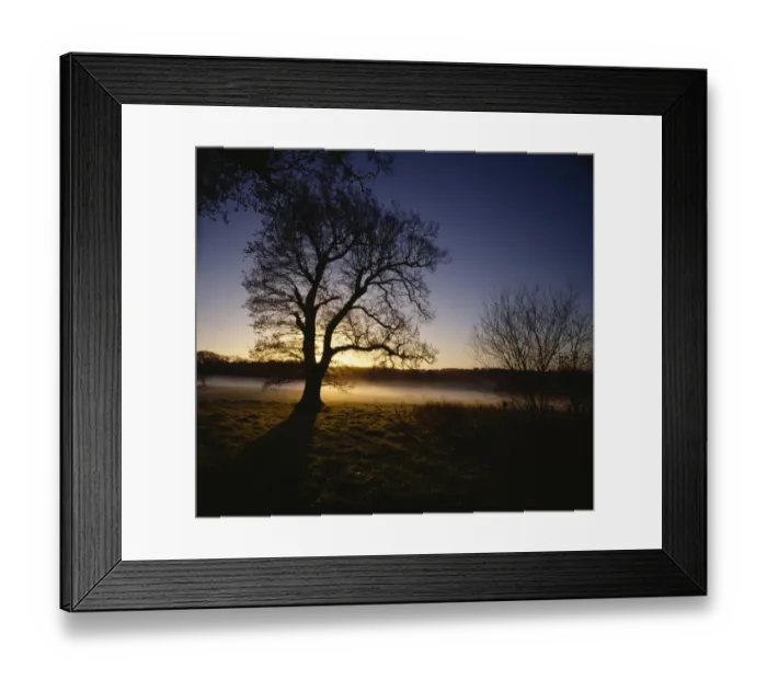 Framed Print : Battle Abbey battlefield K060304