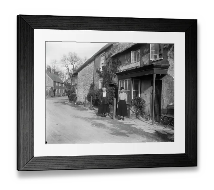 Framed Print : Hydrangea House MCF01_02_0737