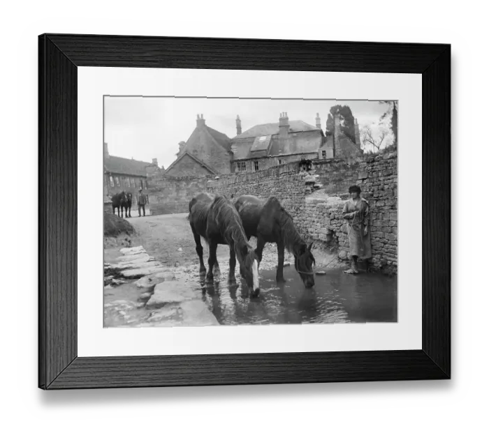 Framed Print : Drinking at the ford MCF01_02_0760
