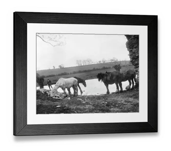 Framed Print : Drinking at the ford MCF01_02_0764