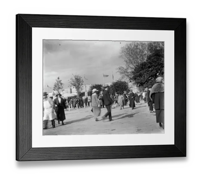 Framed Print : Visitors MCF01_02_0823