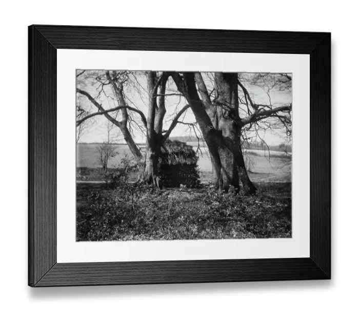 Framed Print : Stacked coppiced wood MCF01_02_1357