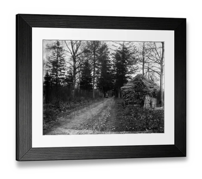 Framed Print : Split wood stack MCF01_02_1358
