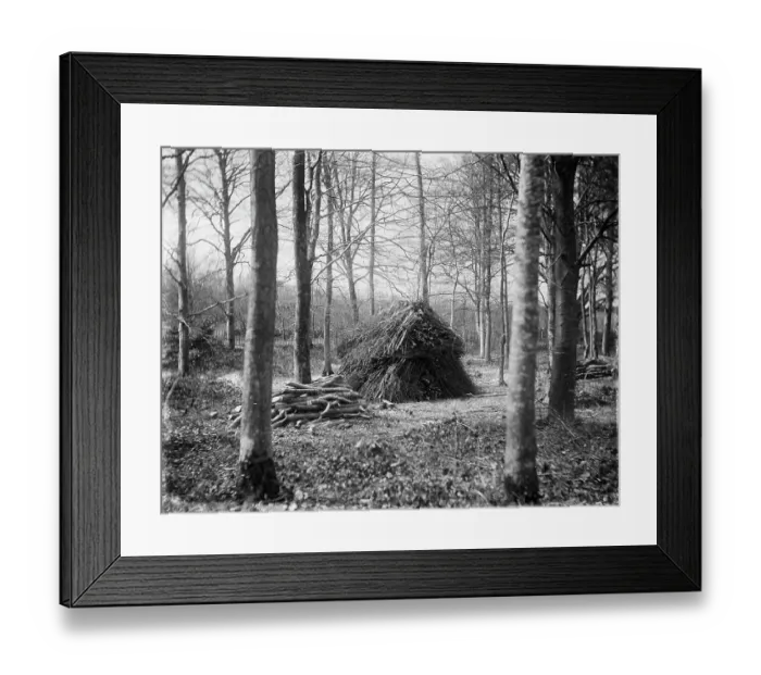 Framed Print : Wood stack MCF01_02_1359 Framed Print : Wood stack MCF01_02_1359
