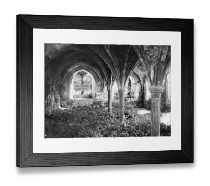 Framed Print : Waverley Abbey MCF01_02_1446