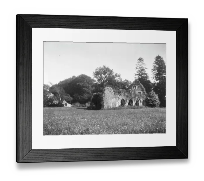 Framed Print : Waverley Abbey MCF01_02_1449 Framed Print : Waverley Abbey MCF01_02_1449