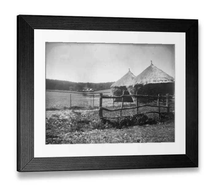 Framed Print : Thatched haystacks MCF01_02_1477