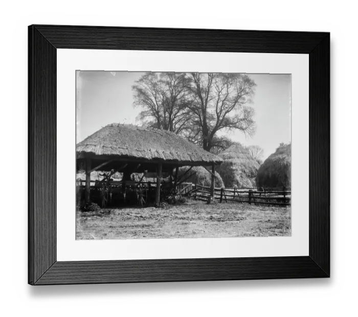 Framed Print : Thatched cart shed MCF01_02_1484